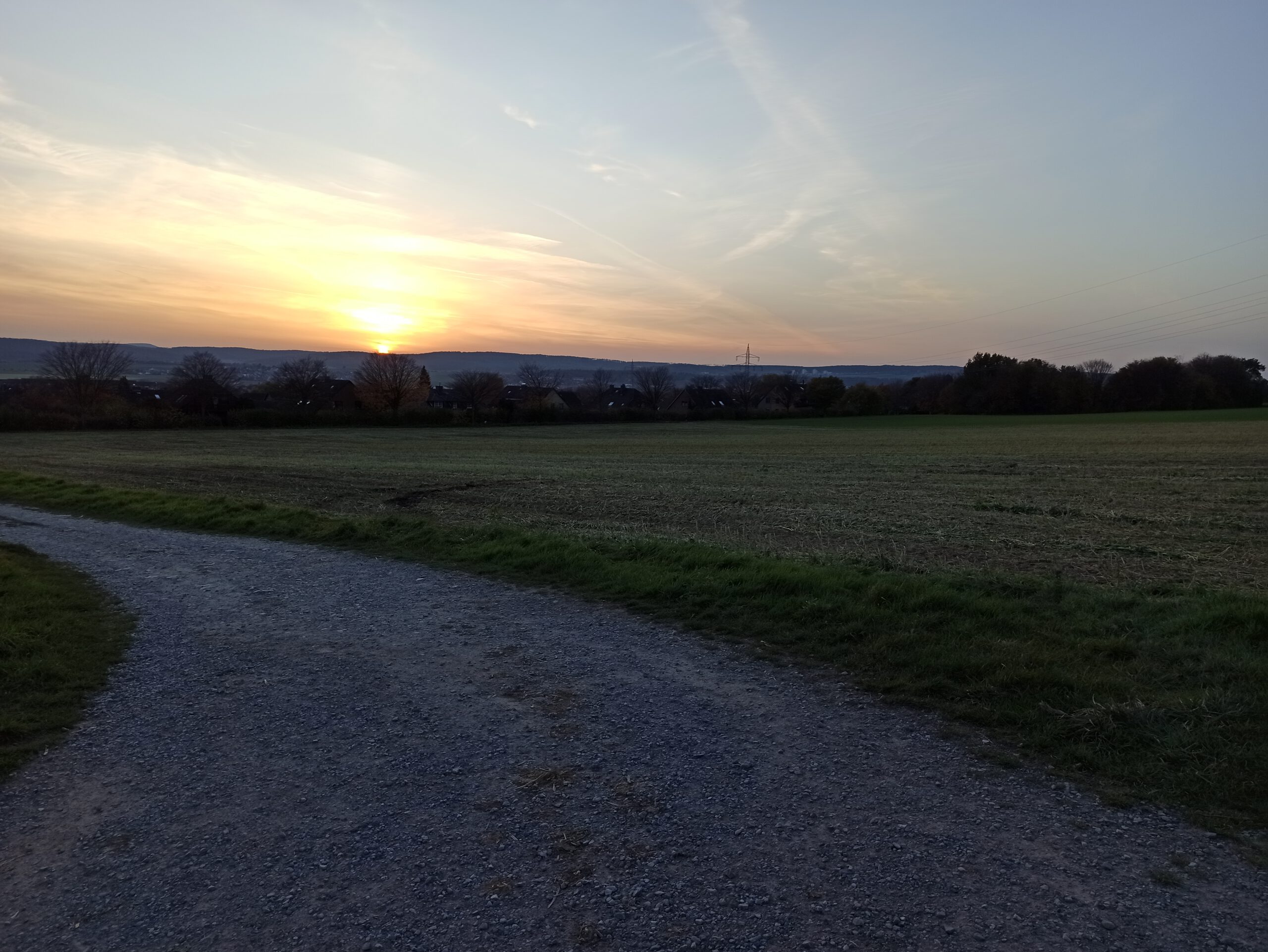 IMG_20201108_162909